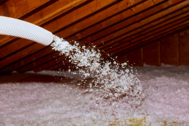 Best Residential Insulation in Elmer, NJ