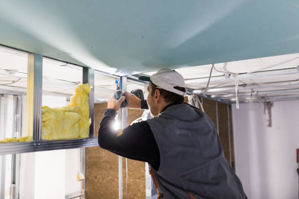 Best Commercial Insulation in Elmer, NJ